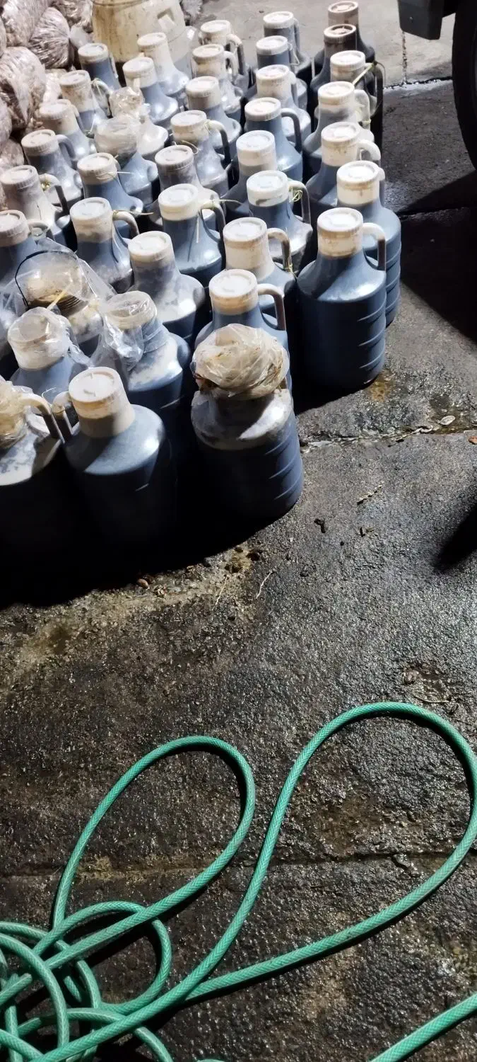 زایعات خرما تناژ بالا. وشیره خرما درجه یک|عمده‌فروشی|برازجان, |دیوار