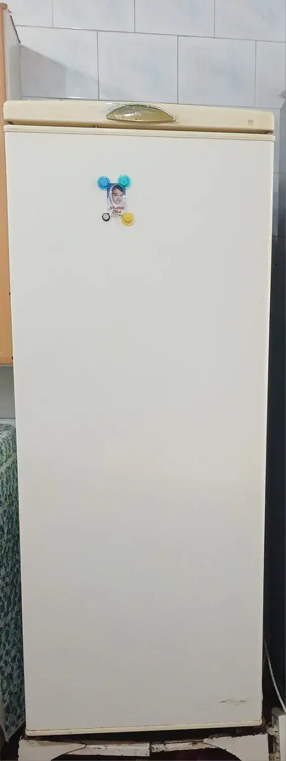 یخچال کار کرده بدون مشکل|یخچال و فریزر|دوگنبدان, |دیوار