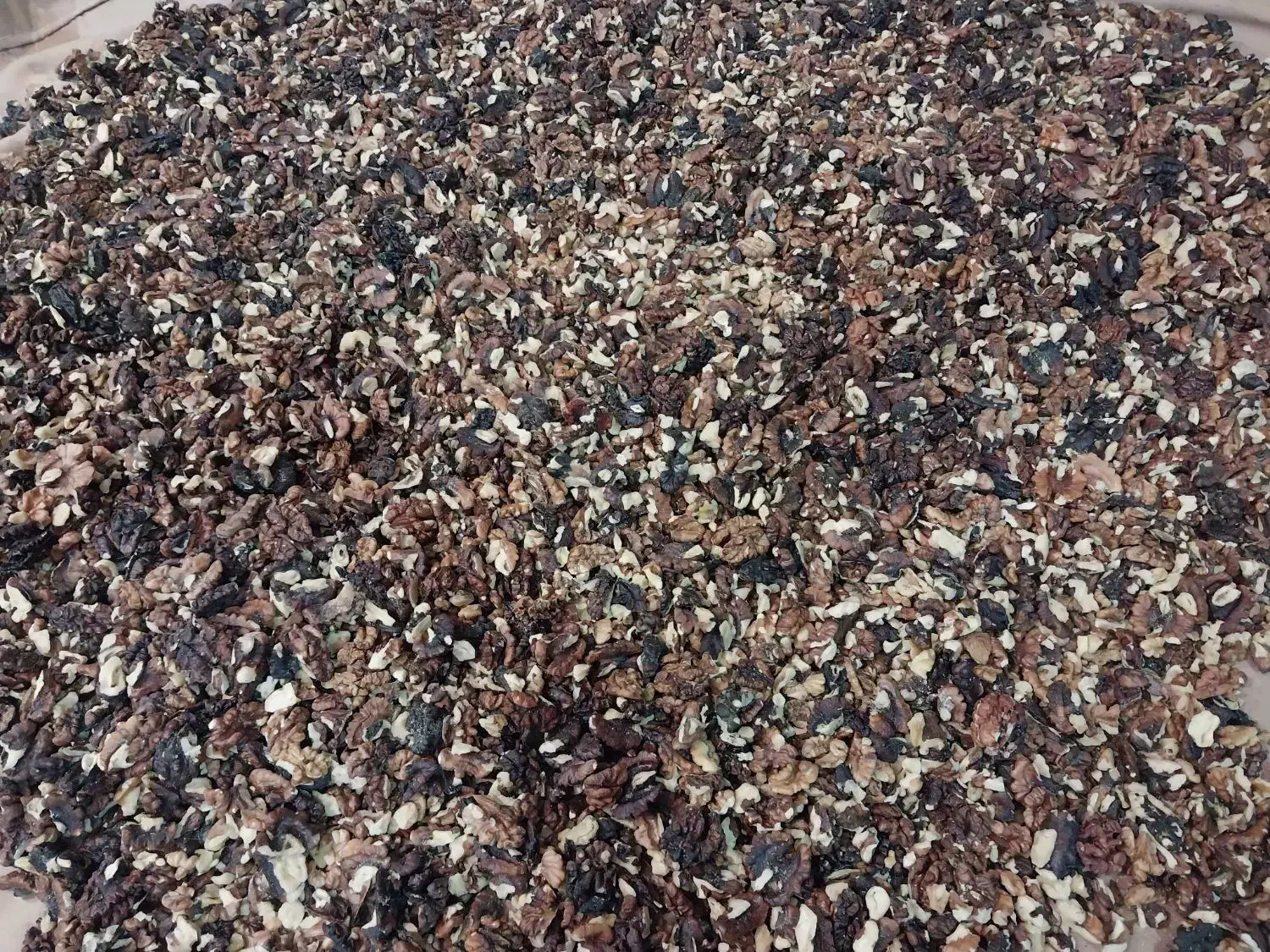 مغز گردو|خوردنی و آشامیدنی|ری, شهرری|دیوار