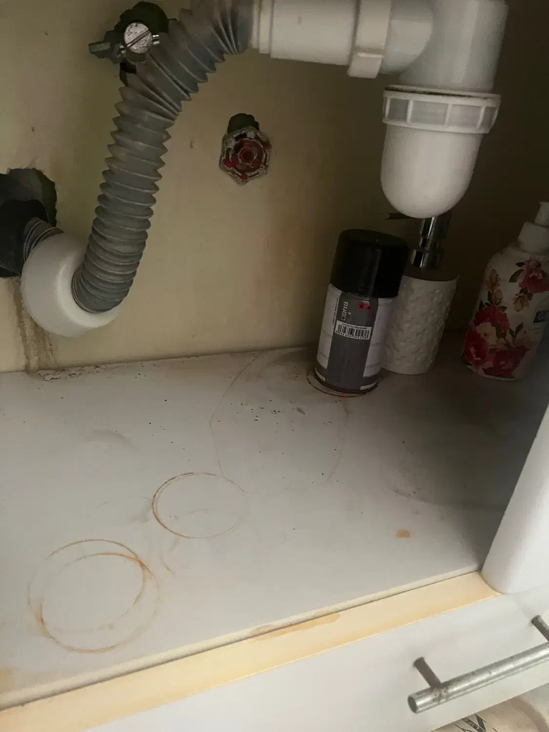 کمد و سینک دستشویی|لوازم سرویس بهداشتی|مشهد, آزادشهر|دیوار