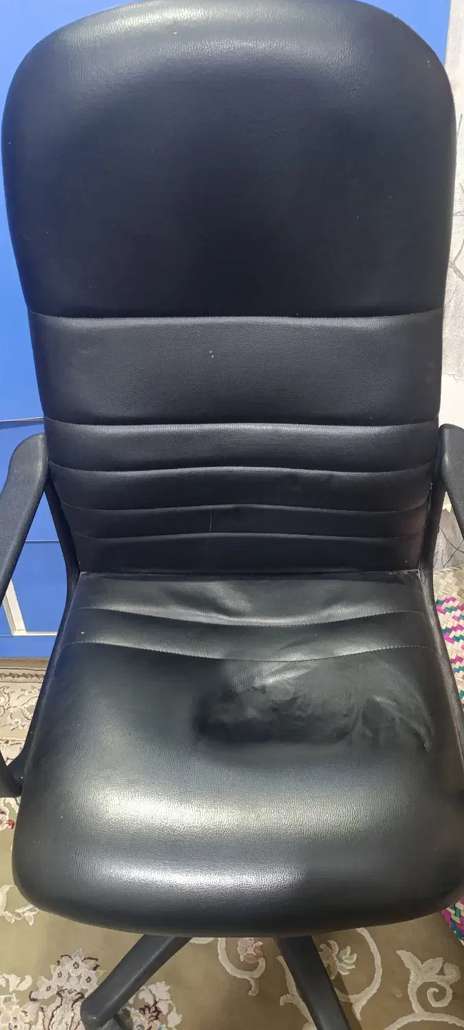 صندلی چرم|صندلی و نیمکت|بندر ماهشهر, |دیوار