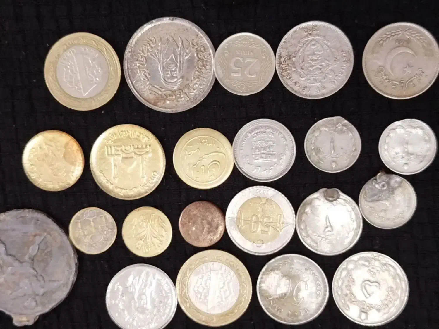 متنوع|بدلیجات|یزد, |دیوار