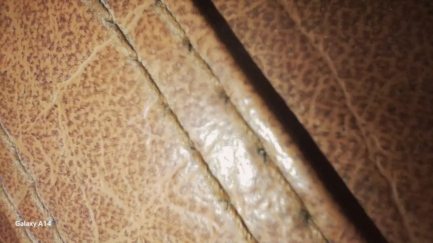 چمدان بزرگ|کیف، کفش، کمربند|شیراز, عفیف‌آباد|دیوار