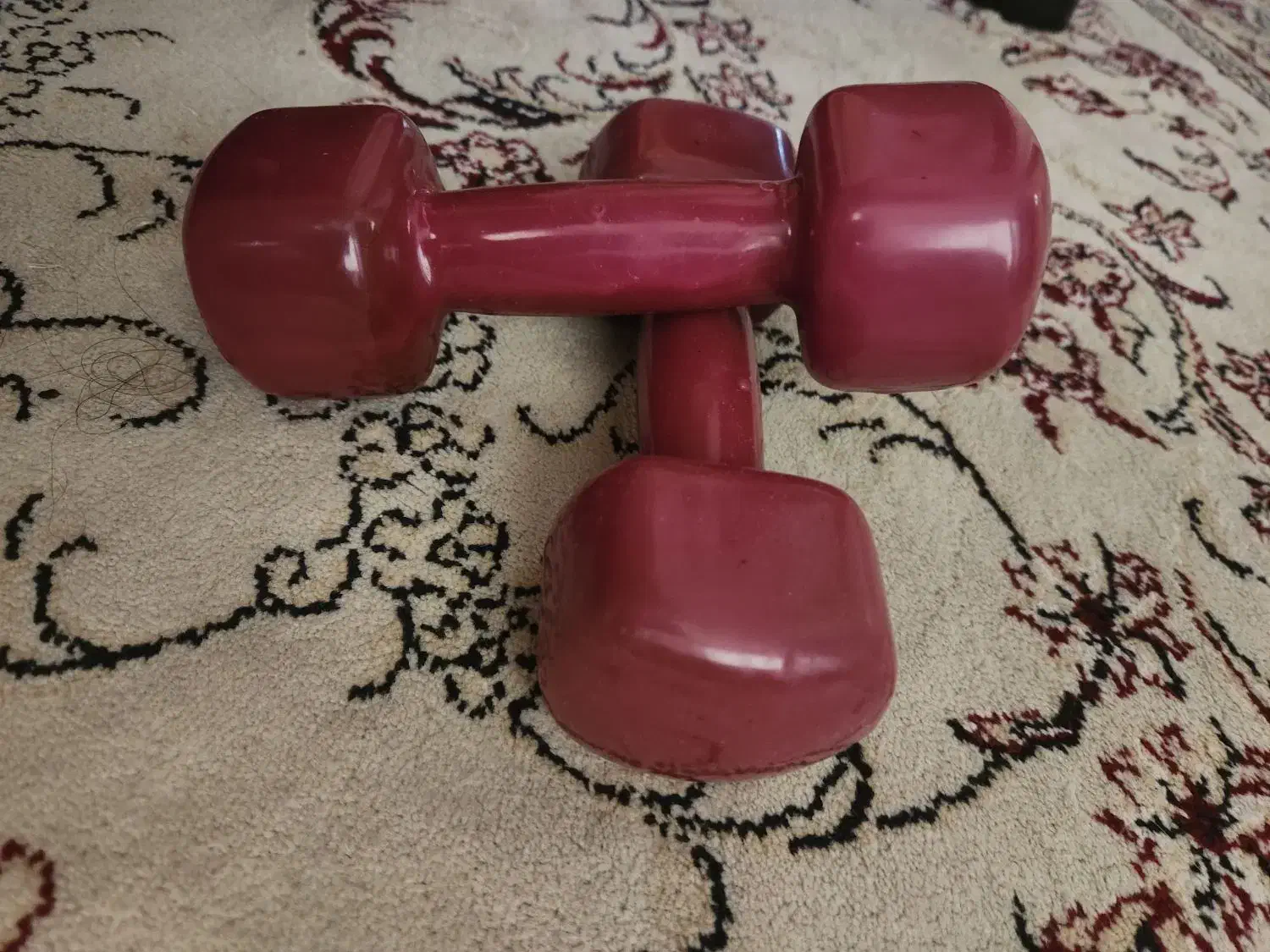 دمبل یک و نیم کیلویی|تجهیزات ورزشی|تهران, جیحون|دیوار