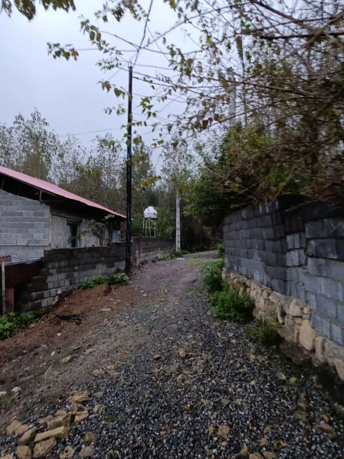 زمین مسکونی تو لفور چسبیده به جنگل هیرکانی|فروش زمین و ملک کلنگی|آلاشت, |دیوار