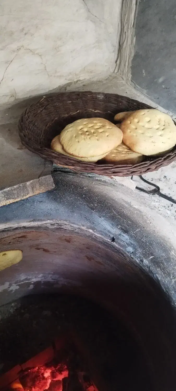 تافتون هیزمی|خوردنی و آشامیدنی|تربتحیدریه, چهارراه خواف|دیوار