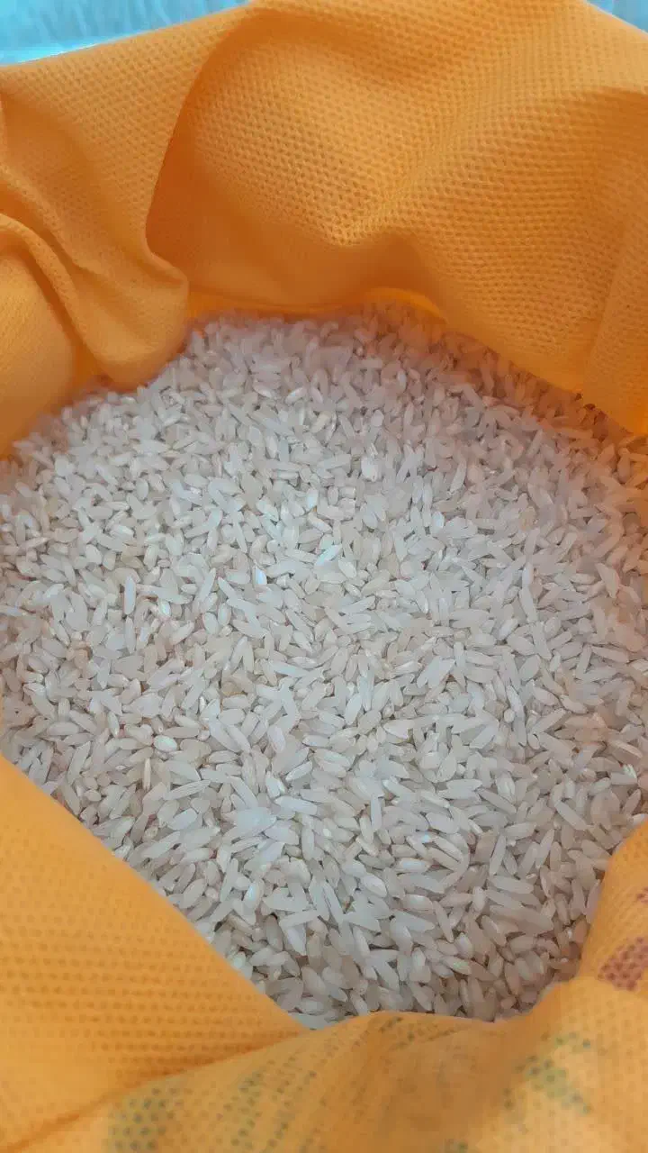 برنج عنبربو احمدی|خوردنی و آشامیدنی|قم, شهرک مهدیه|دیوار
