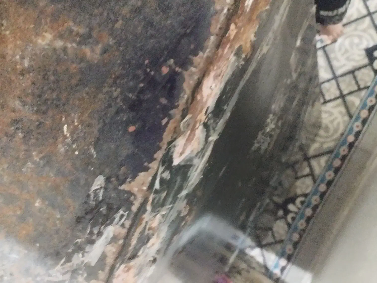 گاو صندوق|کلکسیون اشیاء عتیقه|ابهر, |دیوار