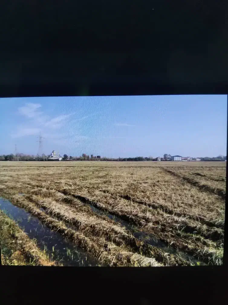 زمین شالیزار نسخ می‌باشد اقدام به سند می‌باشد|فروش زمین و ملک کلنگی|لوندویل, |دیوار