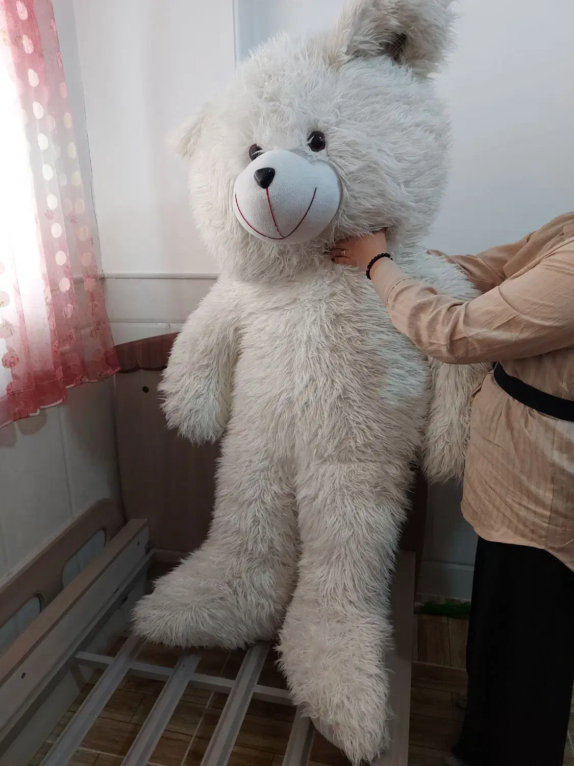 عروسک خرس|اسباب‌بازی بچه|قم, حقیقت|دیوار