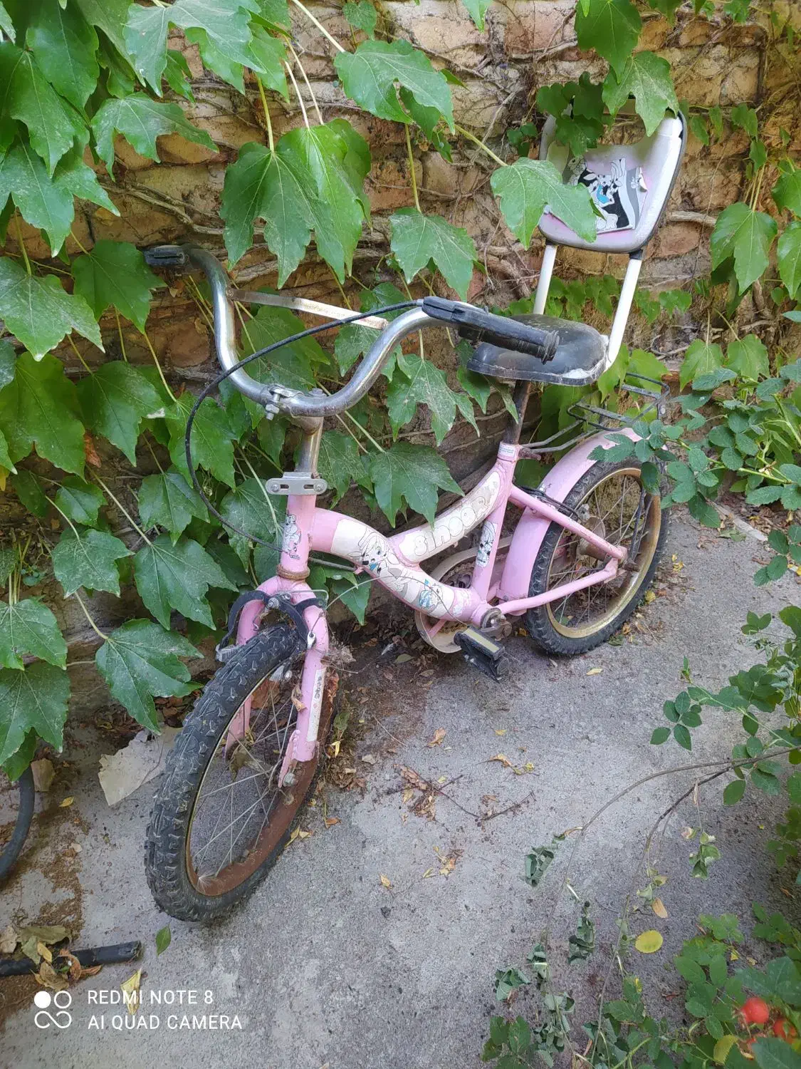 دوچرخه بچه گانه|دوچرخه، اسکیت، اسکوتر|باسمنج, |دیوار