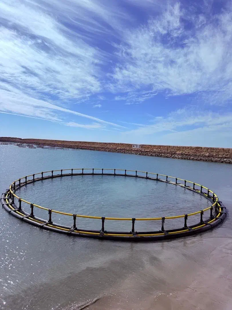 قفس پرورش ماهی|ماهی|چابهار, |دیوار