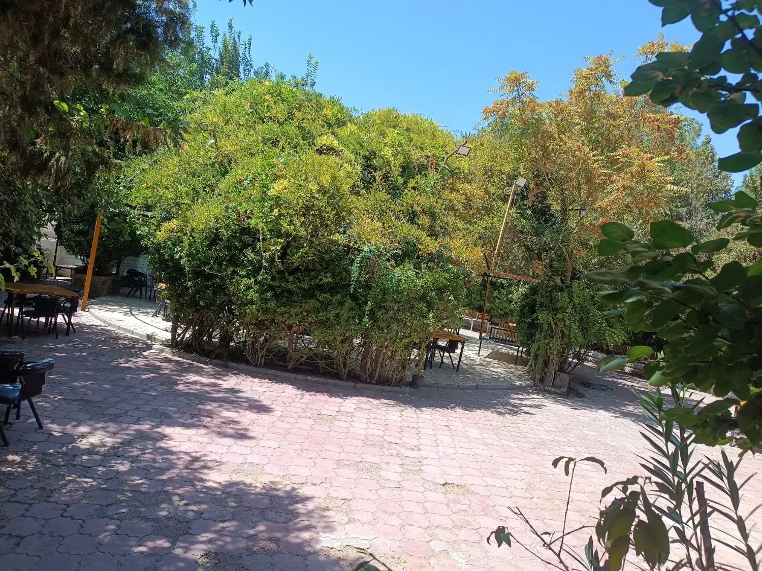 واحد اجاره ای،سوئیت ،ویلایی|اجارهٔ کوتاه‌مدت آپارتمان و سوئیت|کرمان, |دیوار