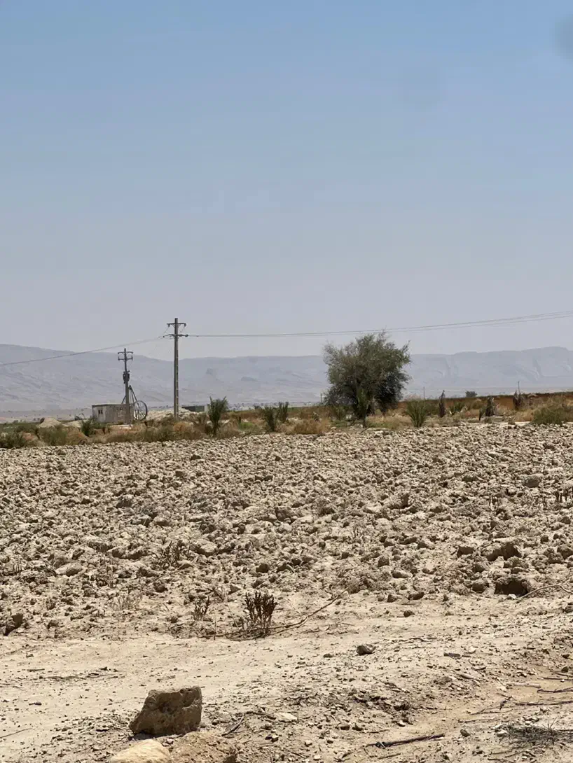 اجاره ی زمین ۱۹هکتاری چاه برقی|اجارهٔ دفتر صنعتی، کشاورزی، تجاری|داراب, |دیوار