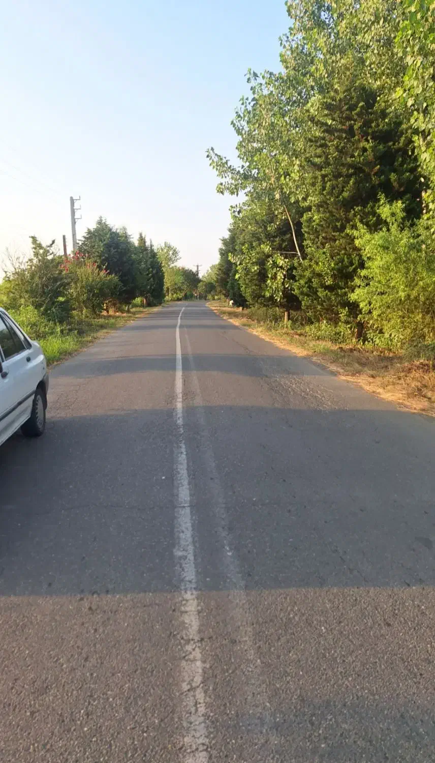 زمین 800 متری در بافت طرح هادی بر جاده اصلی|فروش زمین و ملک کلنگی|رودسر, |دیوار