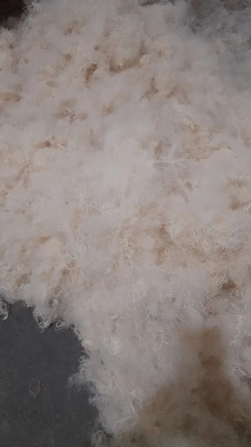 حلاجی الیاف|رختخواب، بالش، پتو|خسروشاه, |دیوار