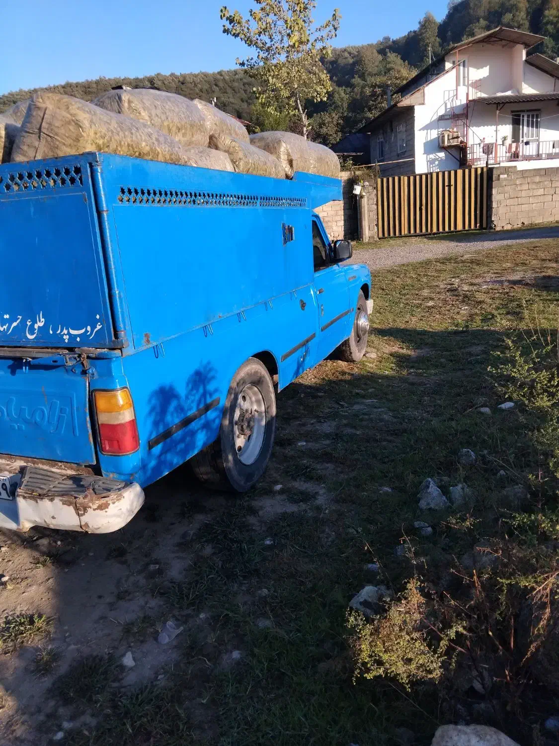 خوراک دامی|لوازم جانبی حیوانات|رشت, معلم|دیوار