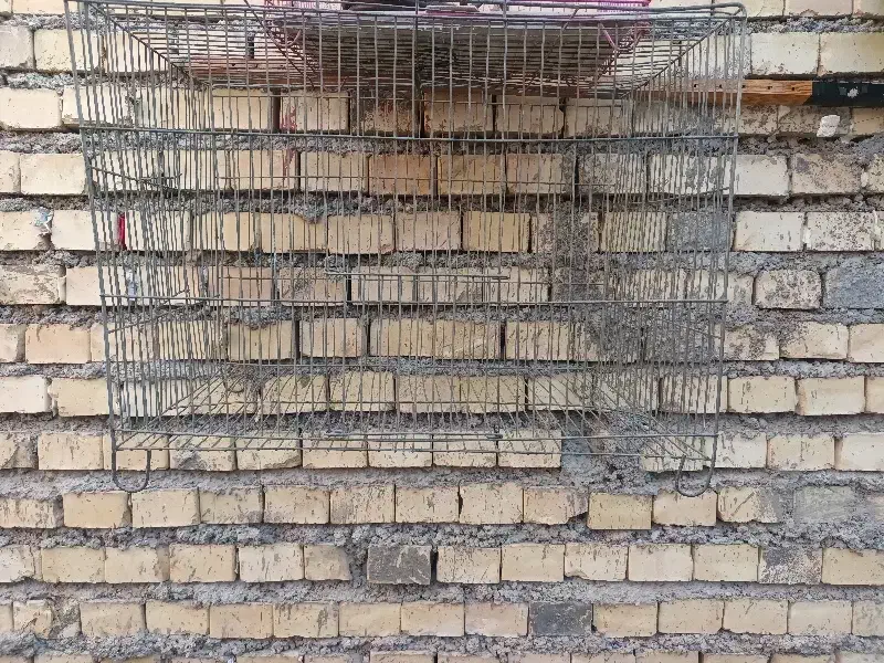 قفس|لوازم جانبی حیوانات|خرمشهر, |دیوار