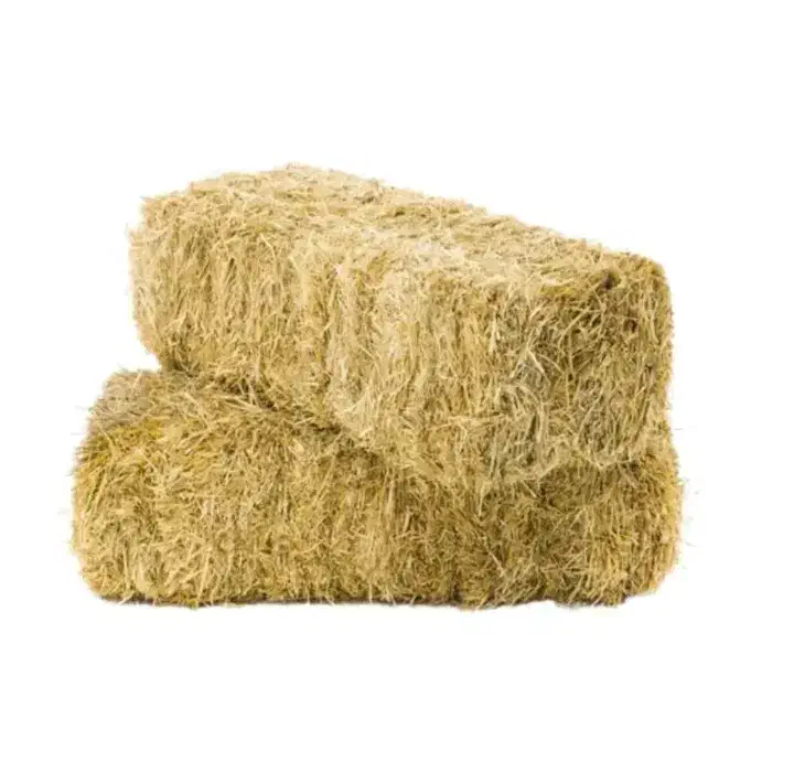 کلش گندم۲۰تن چکی۶ماهه کیلویی ۱۶فروشنده تماس|خدمات باغبانی و درختکاری|همدان, |دیوار