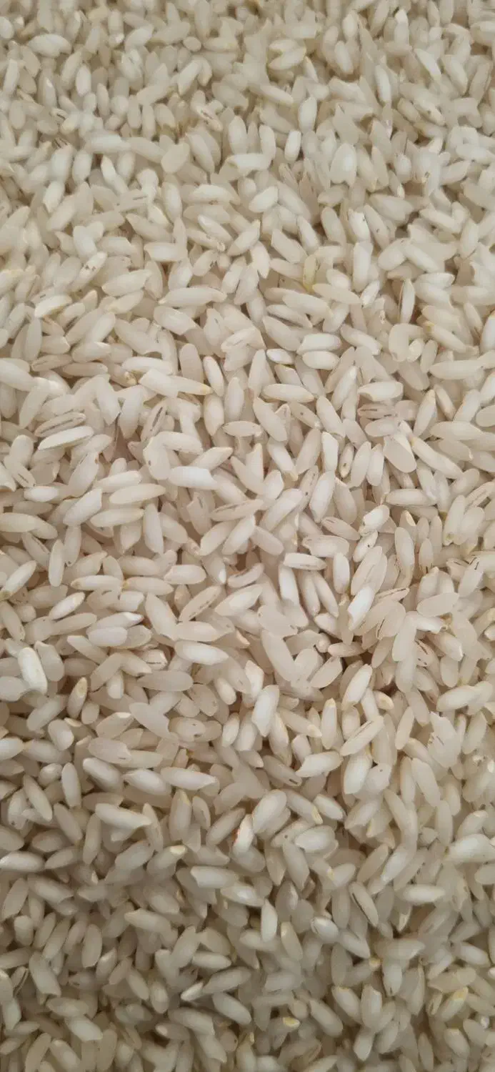 برنج عنبربو|خوردنی و آشامیدنی|ایلام, |دیوار