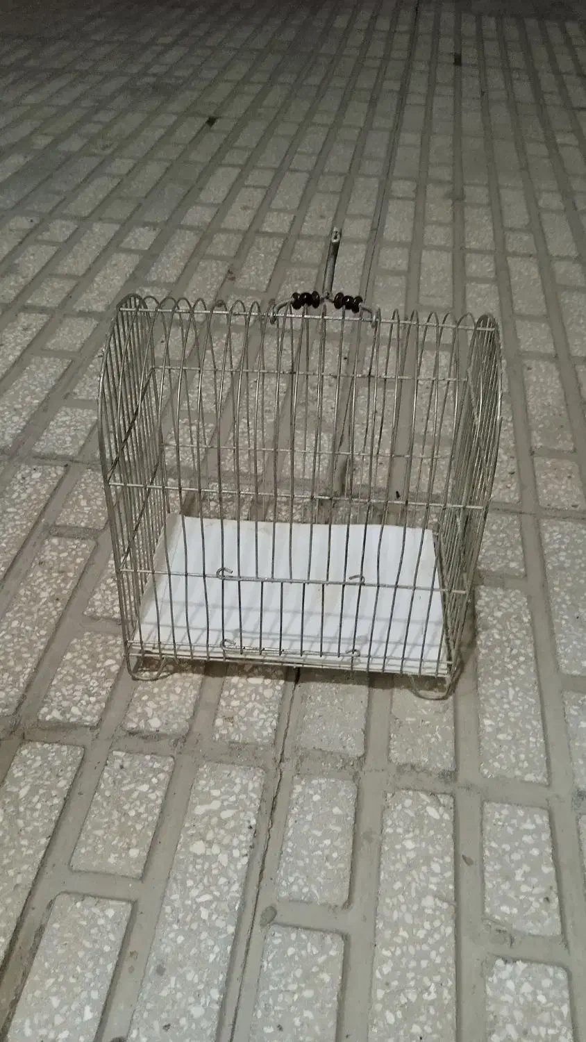 قفس|پرنده|کرمانشاه, |دیوار