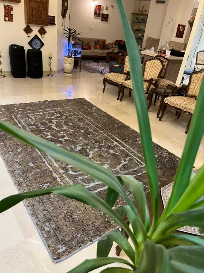 پشتی های دستباف ساروق|فرش|تهران, ولنجک|دیوار