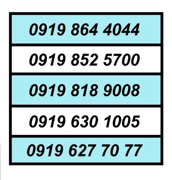 0919.33.600.35|سیم‌کارت|پرند, فاز ۱|دیوار