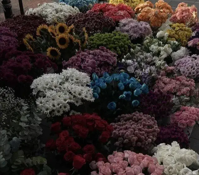 فروش مانتو پاییزی|لباس|قروه, |دیوار