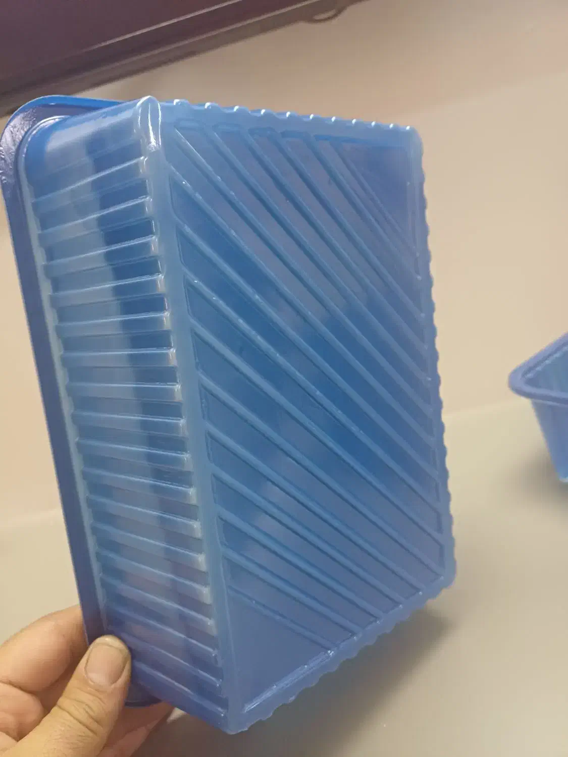 ظرف قارچ ۱ کیلیویی|ظروف نگهدارنده، پلاستیکی، یکبارمصرف|مشهد, خواجه ربیع|دیوار