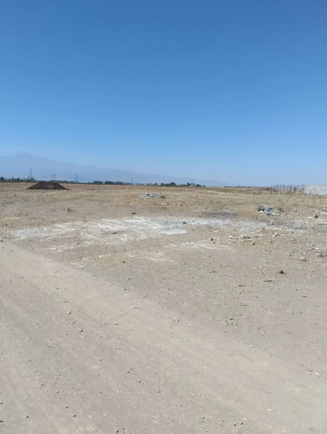 زمین باغ|فروش زمین و ملک کلنگی|نمین, |دیوار