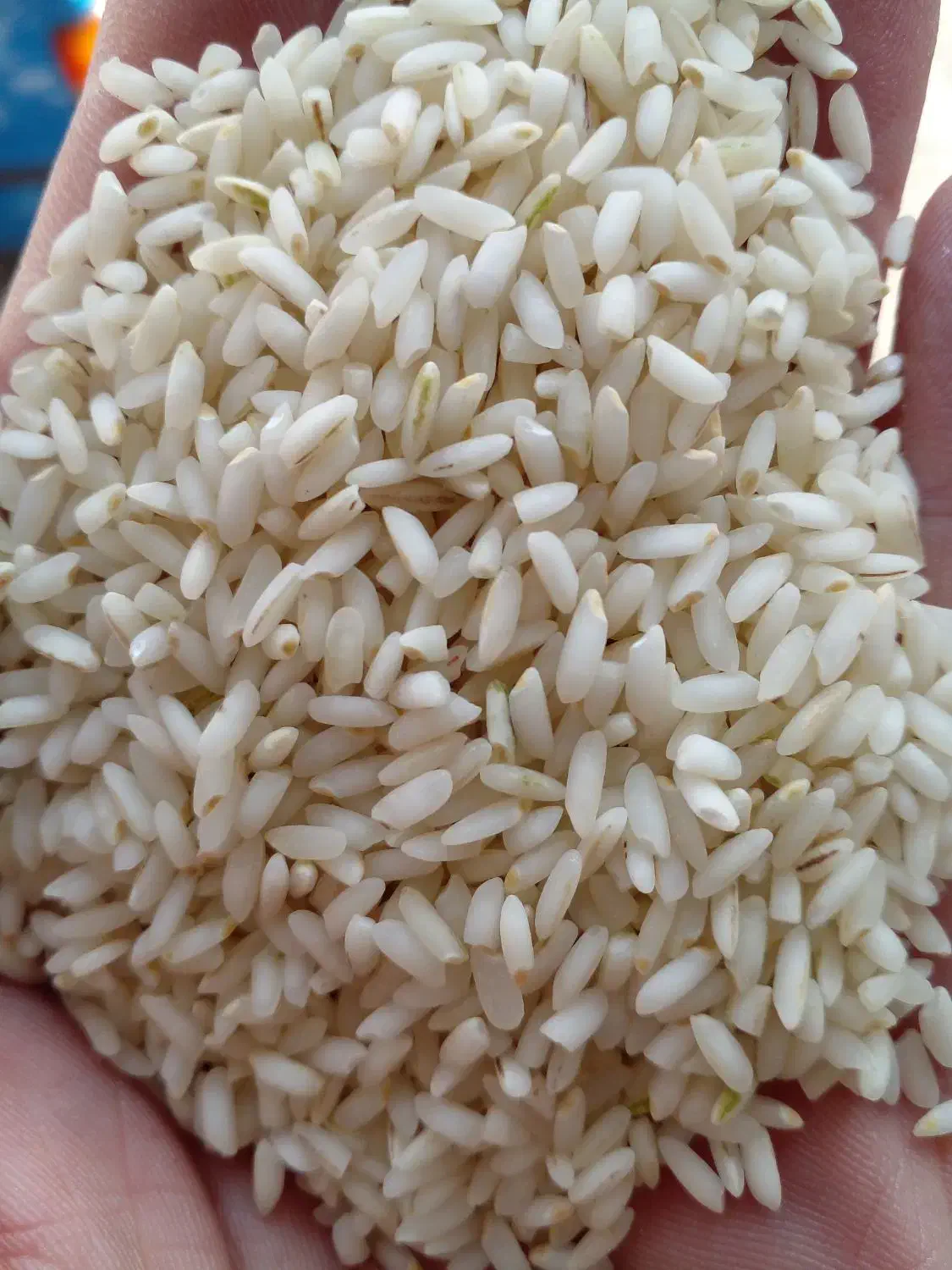 پخش انواع برنج عنبربو با بهترین قیمت وکیفیت|خوردنی و آشامیدنی|اصفهان, رکن الدوله شرقی|دیوار