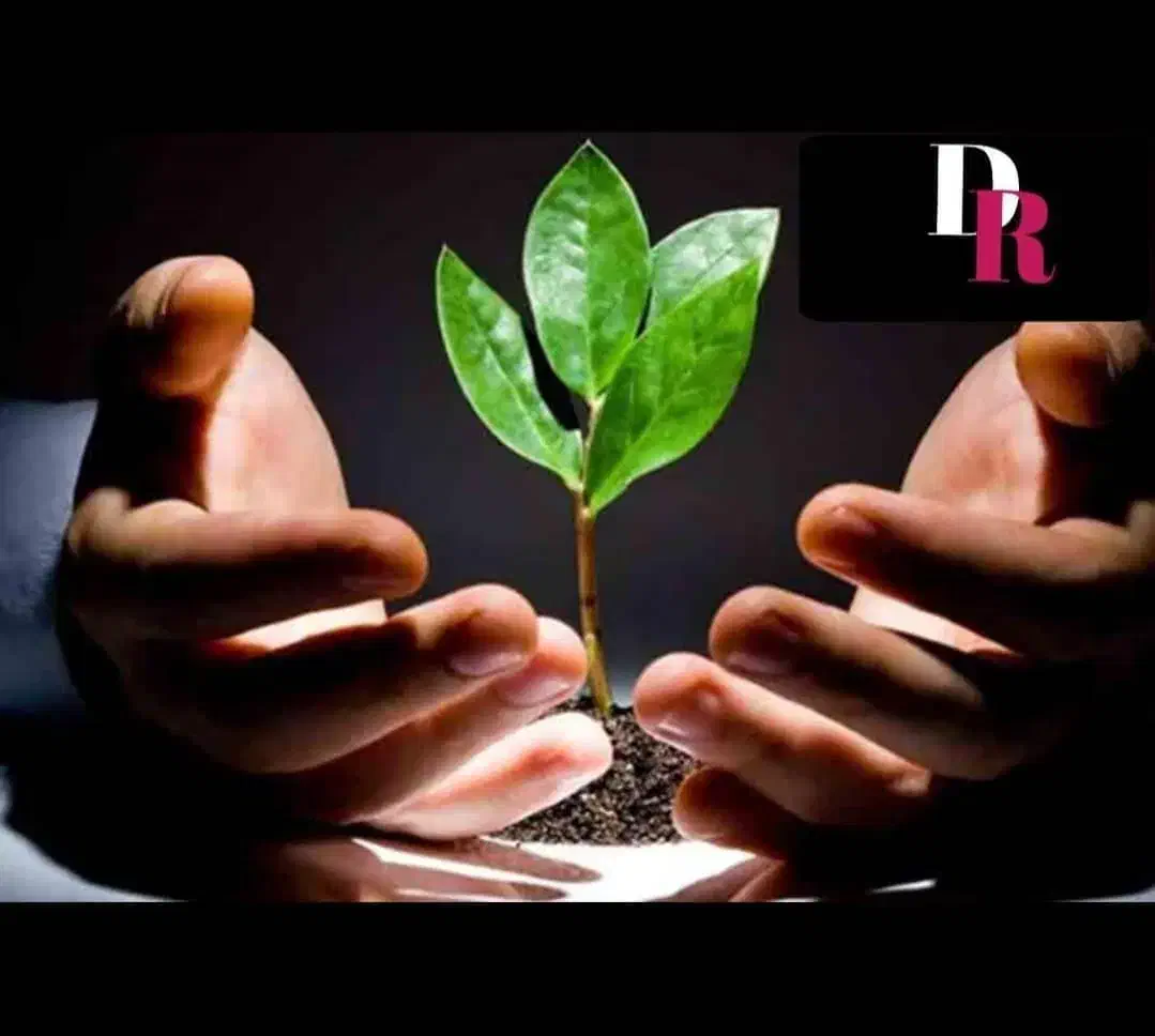 ترک سیگار و اعتیاد بدون درد و خماری|خدمات آرایشگری و زیبایی|شیرگاه, |دیوار