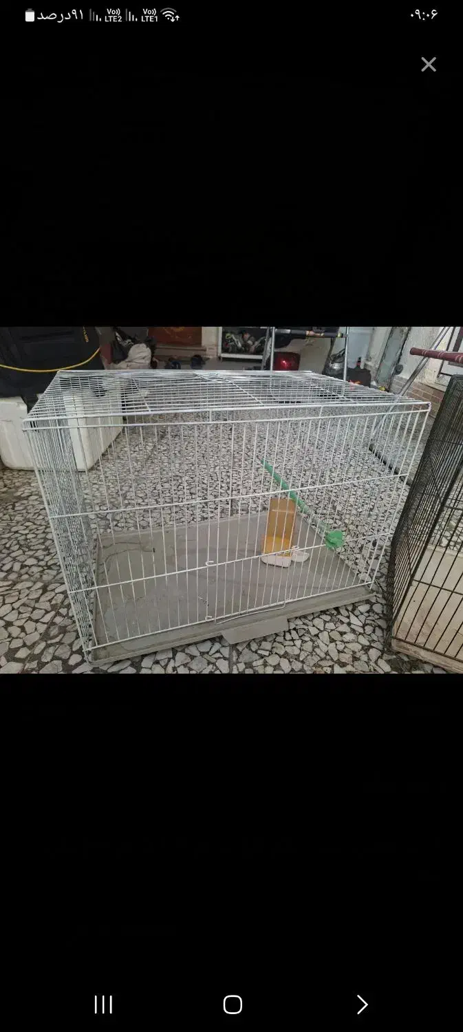 تعدادی قفس قناری با لوازم ولونه طوطی برزیلی|لوازم جانبی حیوانات|پردیس, فاز ۳|دیوار