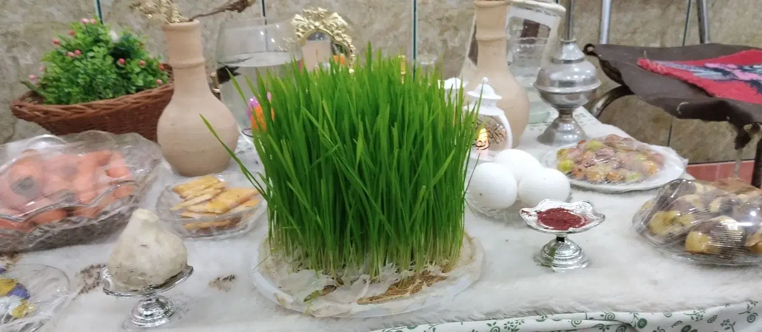 سبز سه خروس|گل و گیاه طبیعی|شادگان, |دیوار