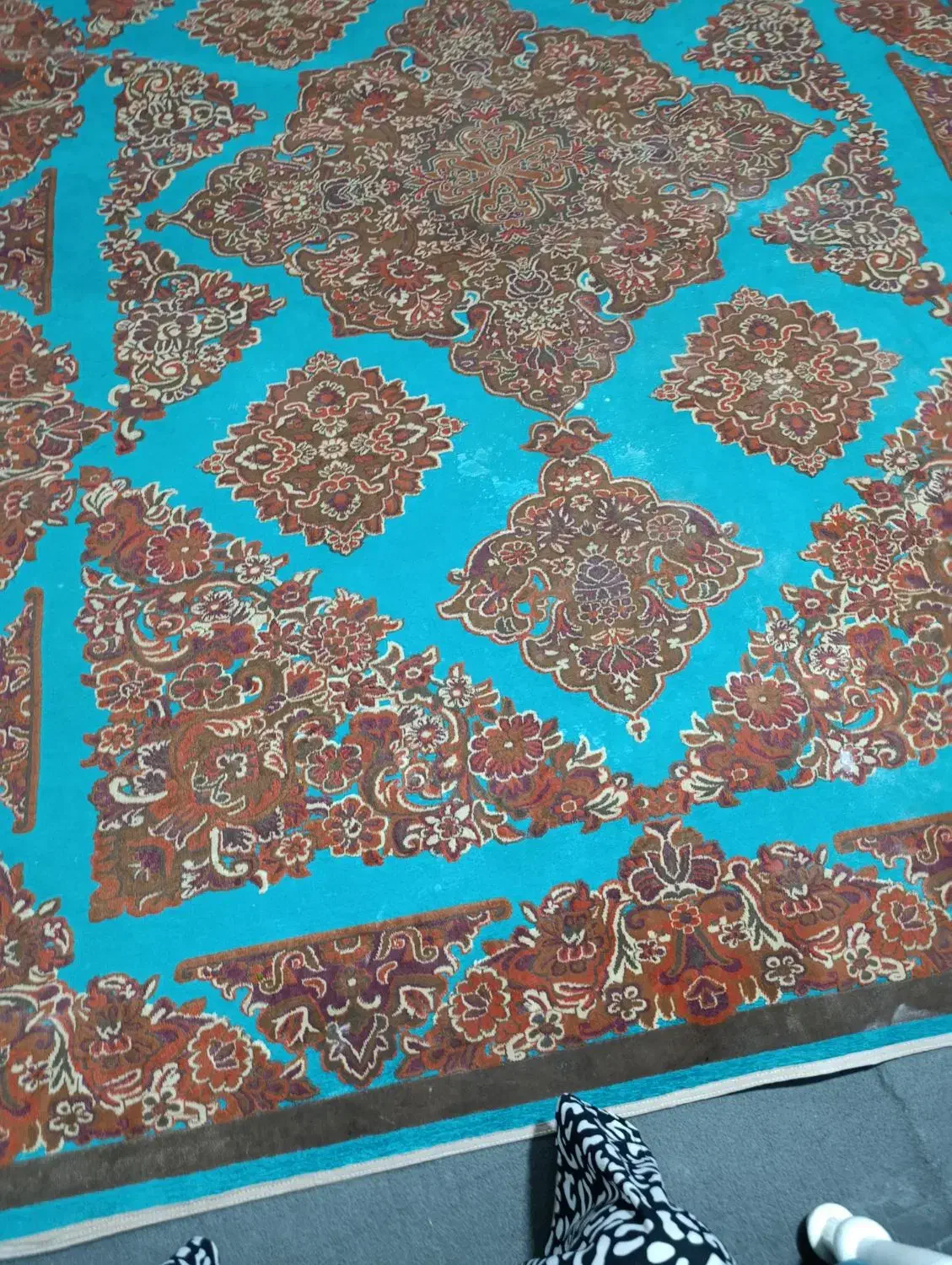 فرش 9متری|فرش|قم, زند آباد|دیوار