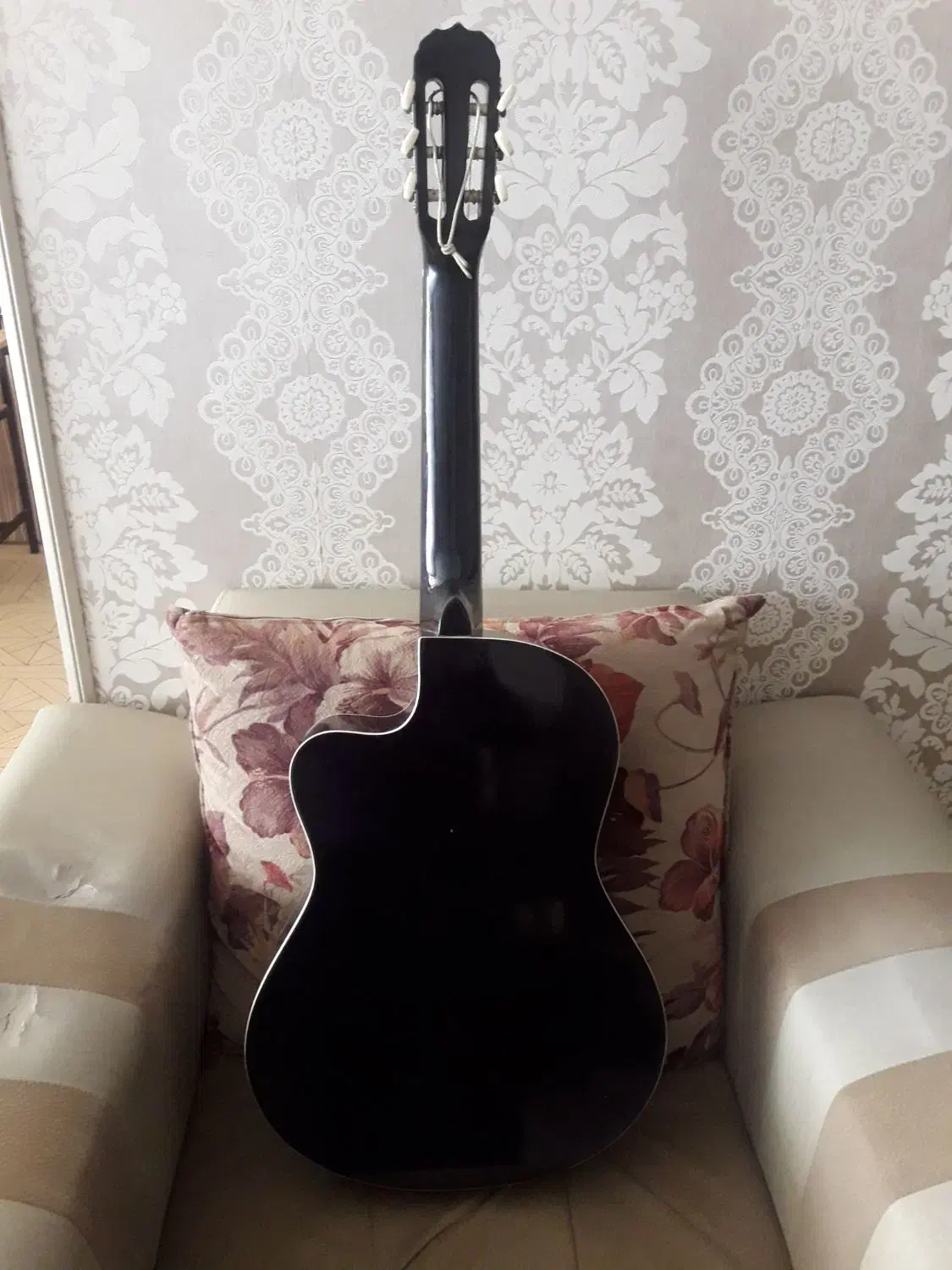 گیتار برند ولف|گیتار، بیس، امپلیفایر|سقز, |دیوار