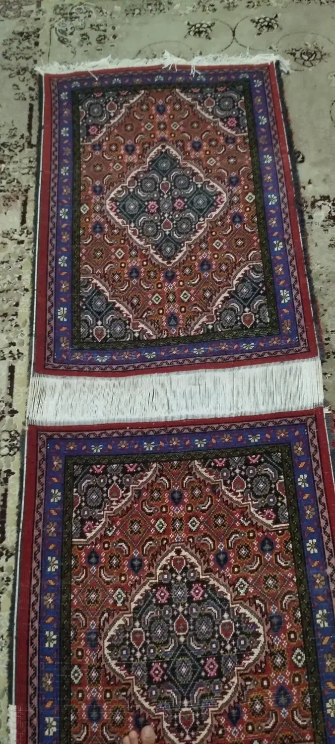 فرش پادری|پادری|اردبیل, |دیوار