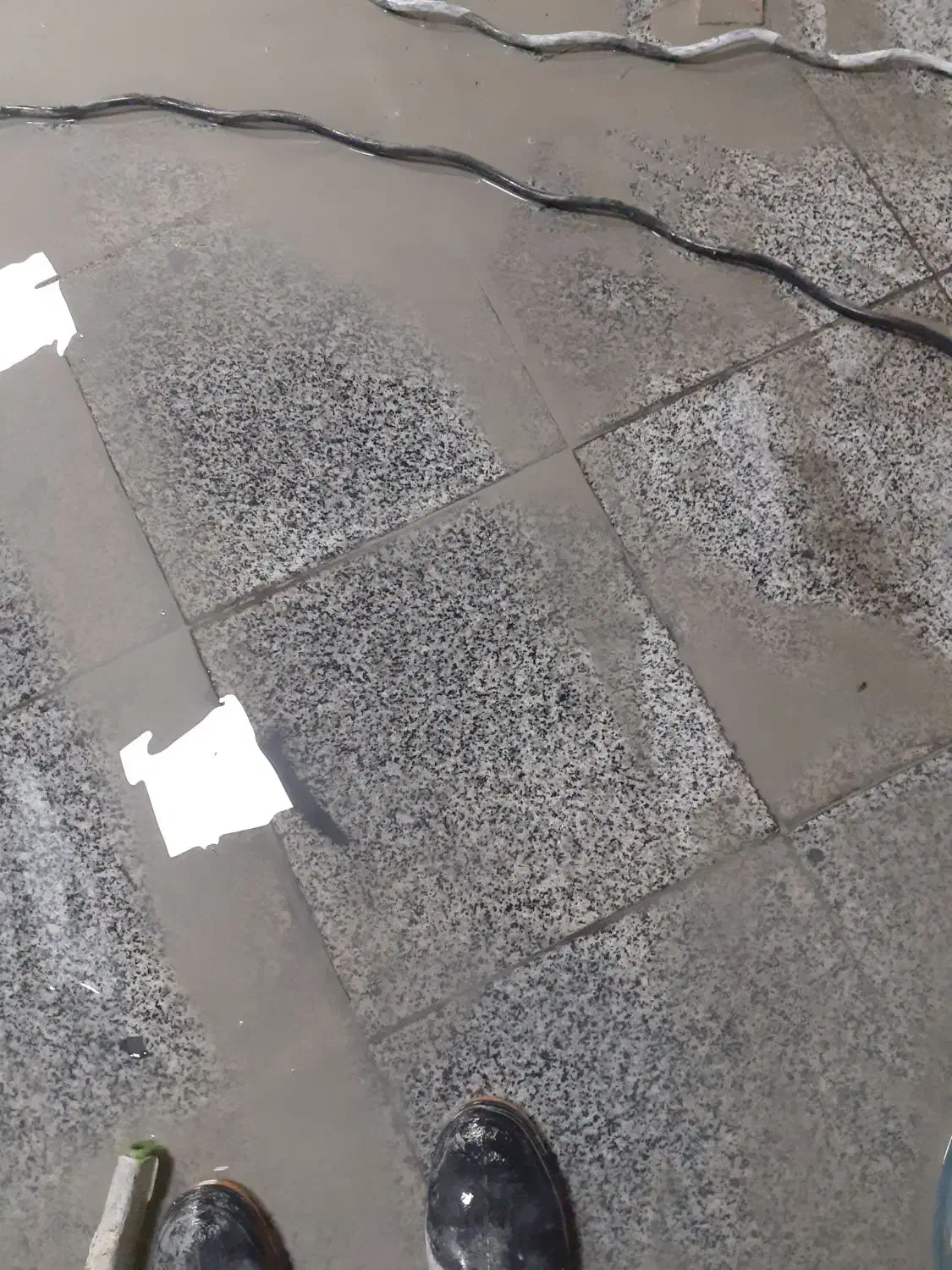 کفسابی سنگ سابی ساب کف سرامیک شویی|خدمات نظافت|پرند, فاز ۱|دیوار