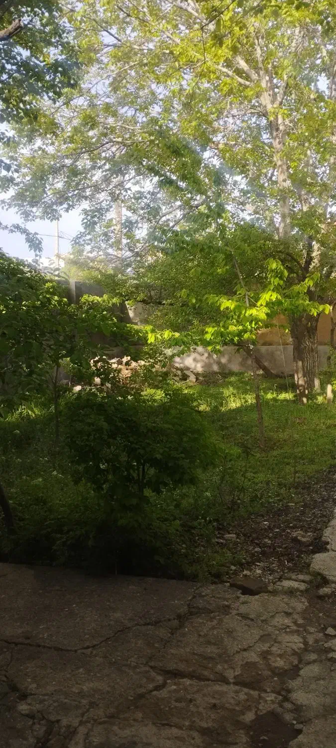 نیازمند وام|فعالیت داوطلبانه تحقیقاتی|قم, انصار‌الحسین|دیوار