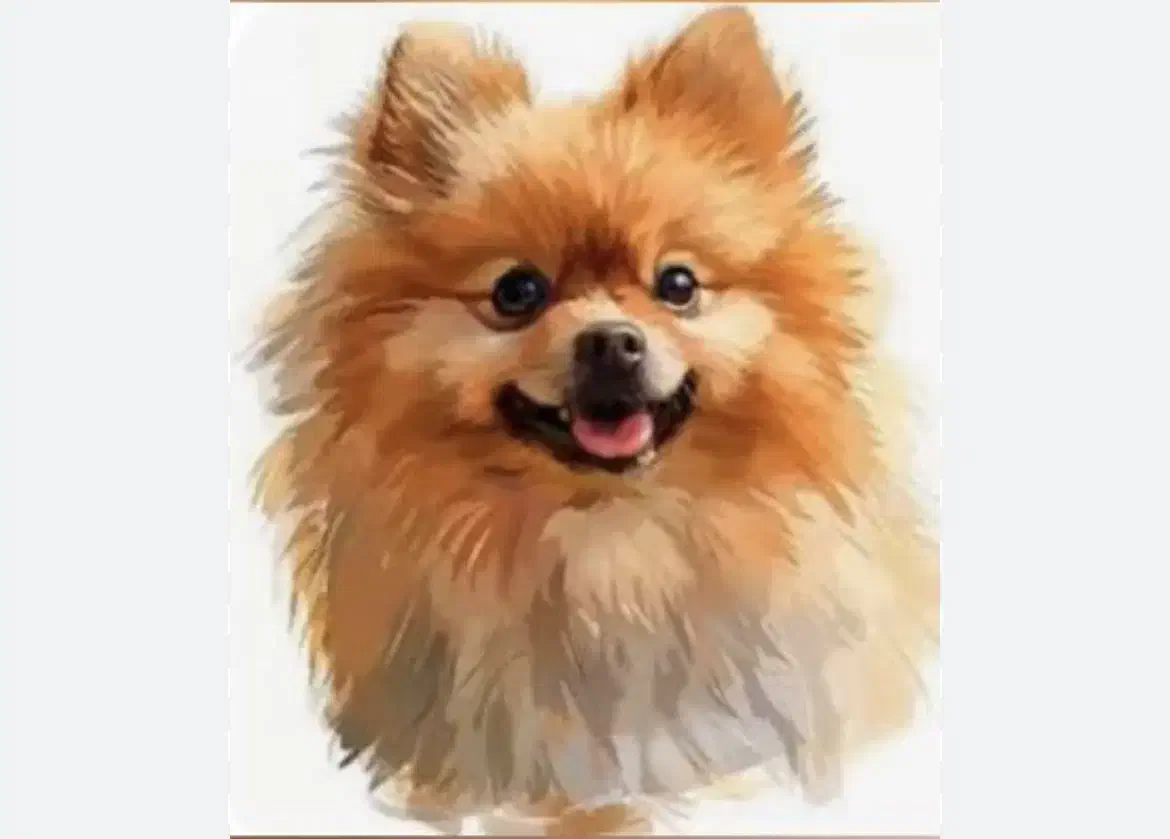 نگهداری از پت|خدمات پیشه و مهارت|گرگان, |دیوار