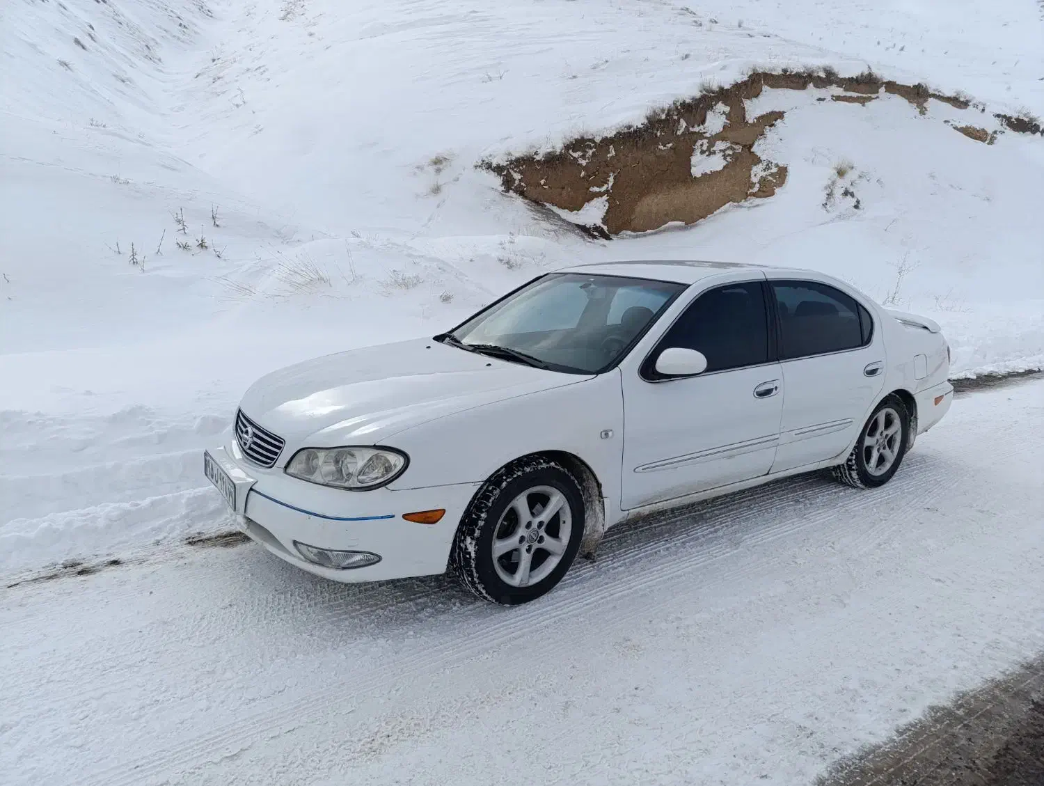 ماکسیما ۸۸|خودرو سواری و وانت|قزوین, |دیوار