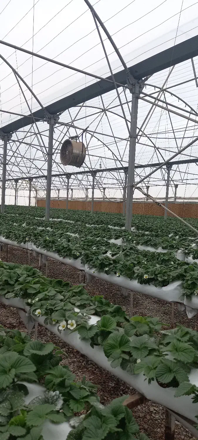 اجرای تاسیسات برقی|خدمات پیشه و مهارت|کرج, فاز ۲ مهرشهر|دیوار