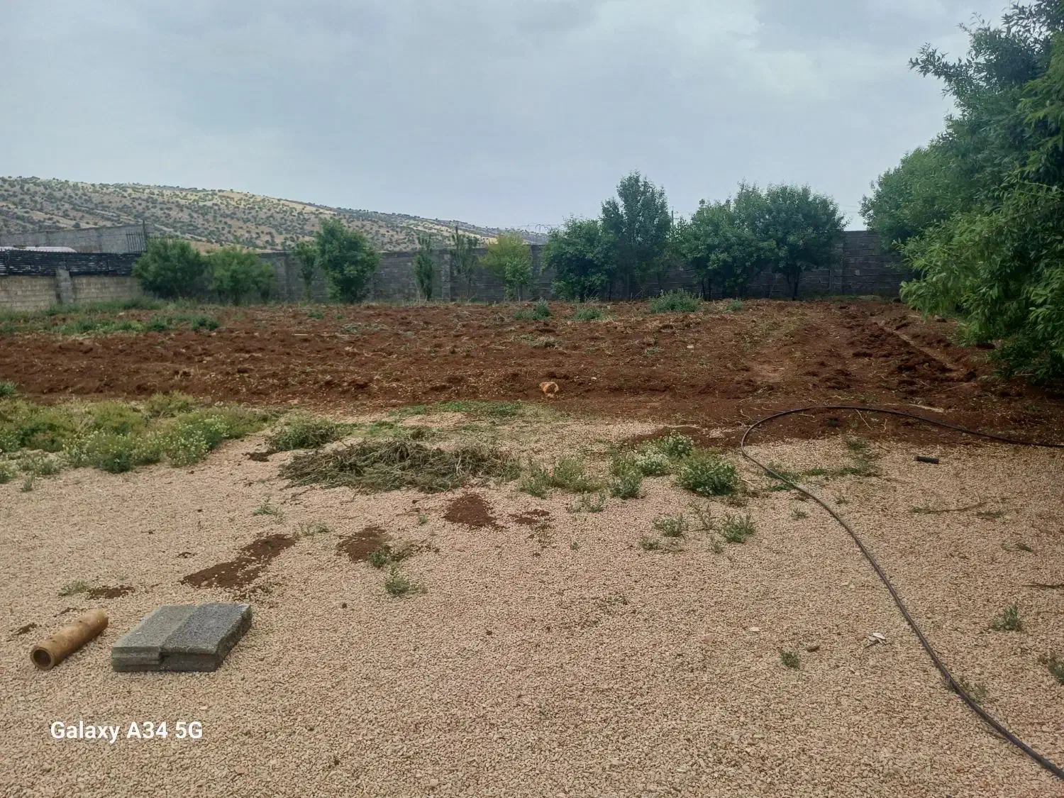 اجاره سوله  کرند غرب|اجارهٔ دفتر صنعتی، کشاورزی، تجاری|دالاهو, |دیوار