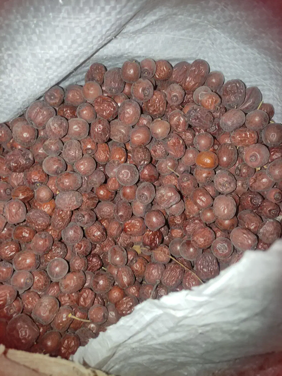 اناب امسالی|خوردنی و آشامیدنی|درمیان, |دیوار