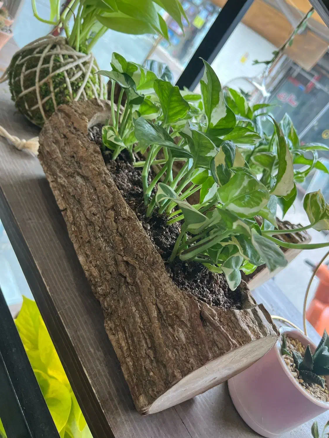 فروشنده دستفروشی|استخدام بازاریابی و فروش|رشت, بازار|دیوار