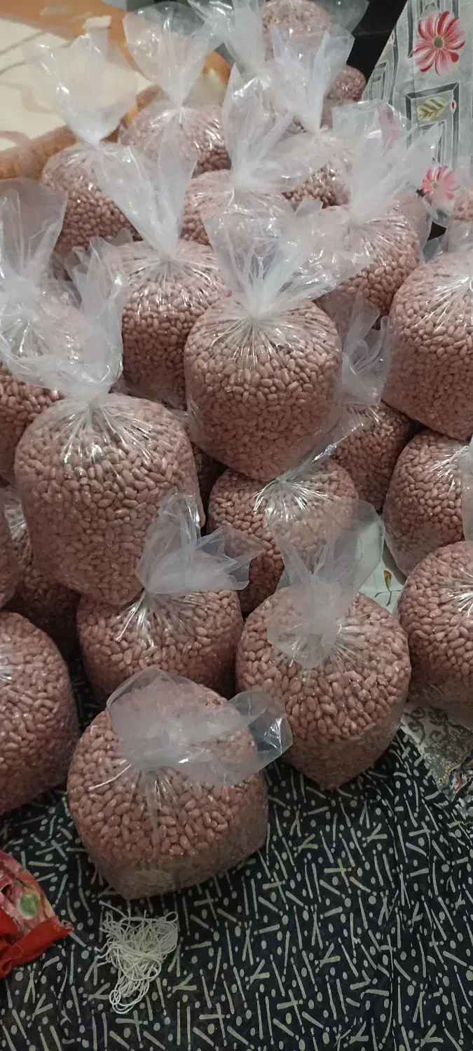 بادام زمینی آستانه اشرفیه  تازه و باکیفیت|خوردنی و آشامیدنی|تهران, امانیه|دیوار