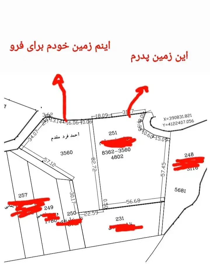زمین کشاورزی برنج|فروش دفتر صنعتی، کشاورزی، تجاری|کوچصفهان, |دیوار