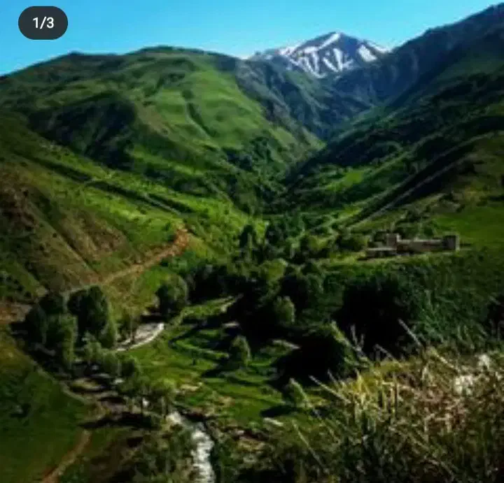 هرز انواع درختان هسته دار با پیش از 20 سال سابقه|خدمات باغبانی و درختکاری|سیلوانه, |دیوار