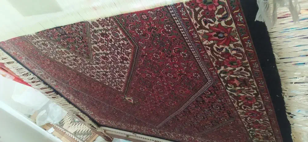 فرش بافی|گلیم، جاجیم، گبه|زنجان, |دیوار