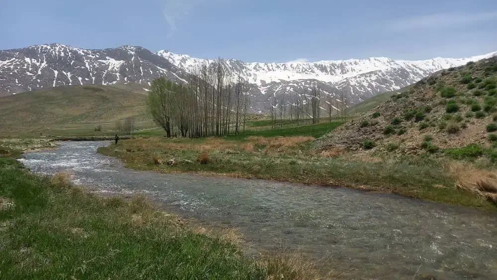 زمین ۷۵۰ متری مناسب باغ و ویلا «فریدونشهر»|فروش زمین و ملک کلنگی|فریدونشهر, |دیوار